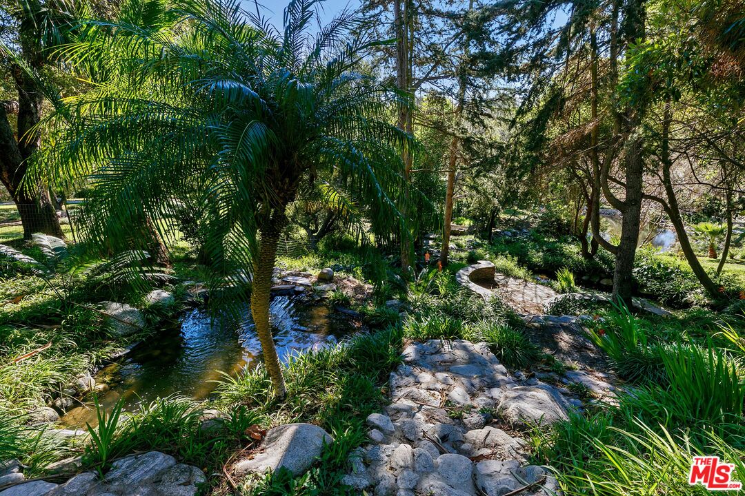6070 Ramirez Canyon Road Malibu, CA 90265 - Photo 30 of 42 a view of a garden with plants