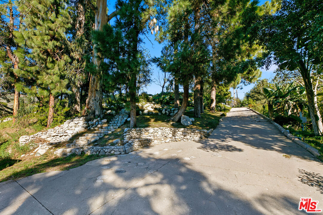 6070 Ramirez Canyon Road Malibu, CA 90265 - Photo 35 of 42 a view of a tree with a tree