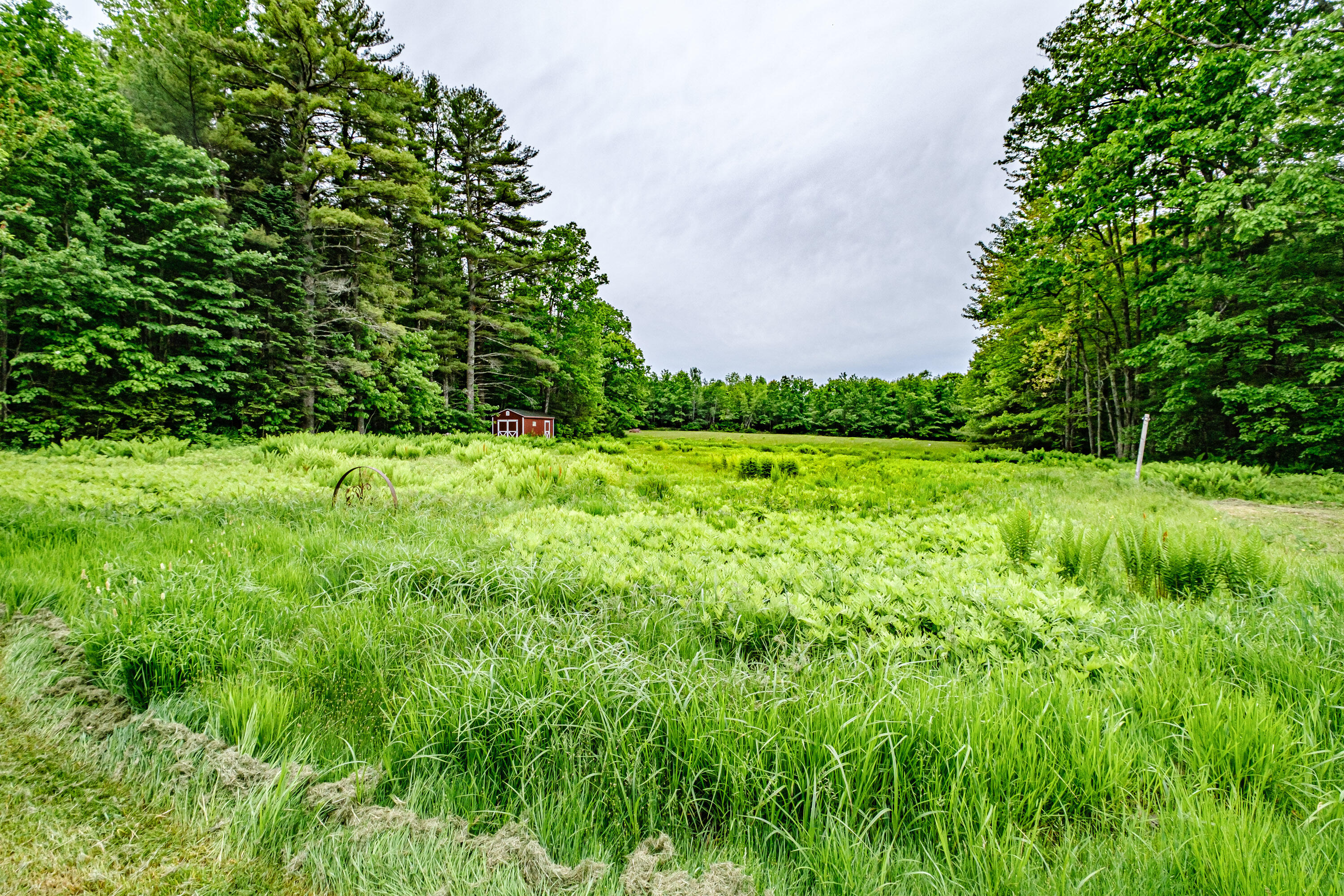 269 Quaker Ridge Road Casco, ME 04015 - Photo 84 of 84 20240530gp-60074