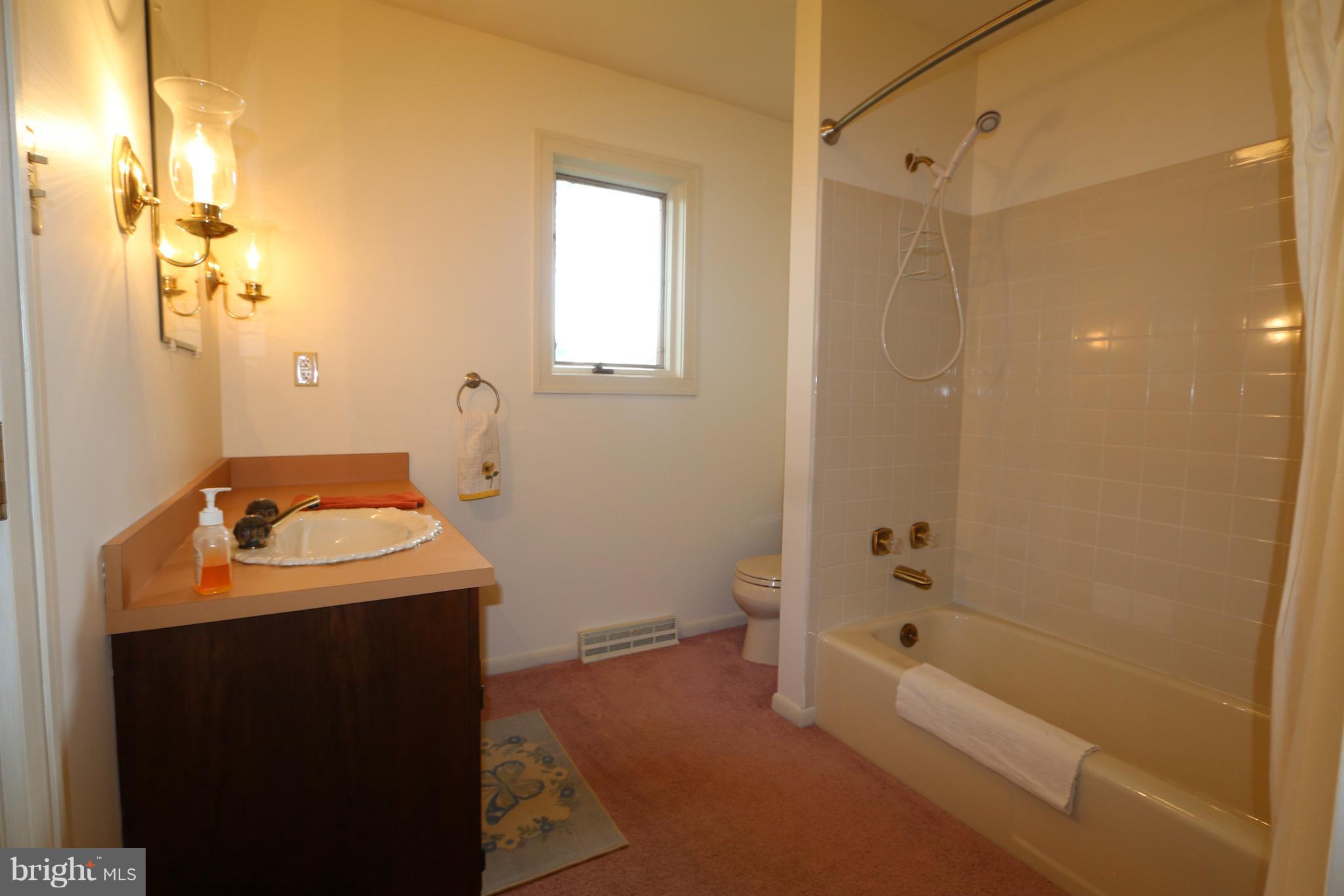 20336 Bent Willow Road Rohrersville, MD 21779 - Photo 17 of 27 Bath
