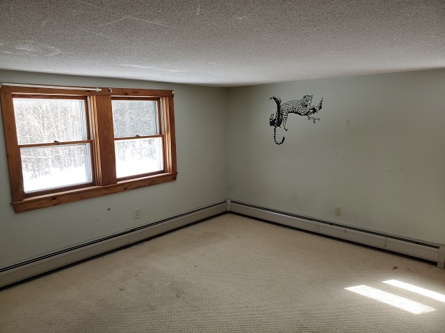 1249 Turnpike Road New Ipswich, NH 03071 - Photo 25 of 30