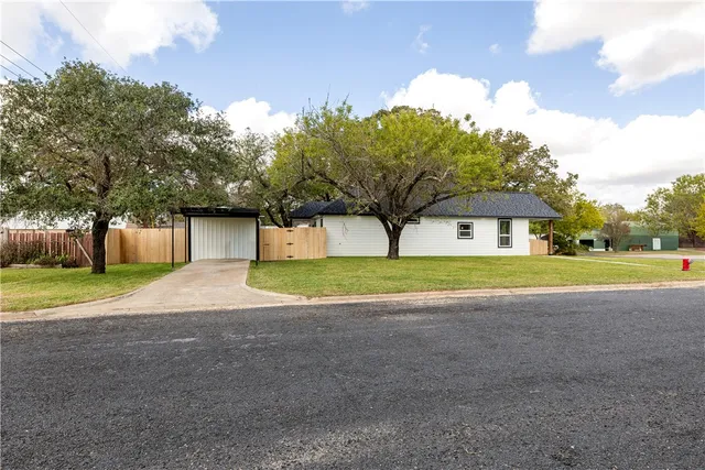 a backyard of a house with plants and large tree