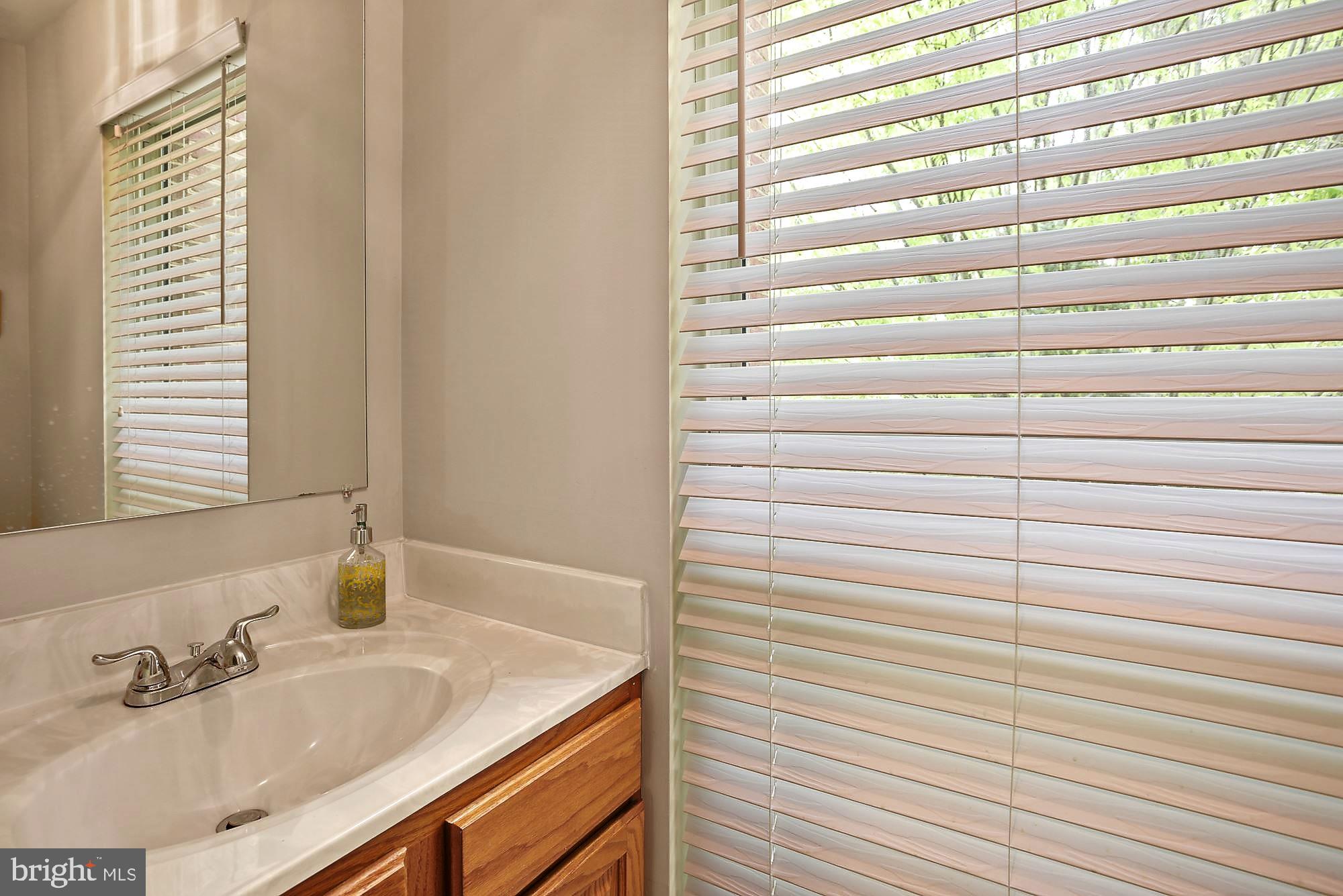 12062 Edgemere Circle Reston, VA 20190 - Photo 11 of 29 a bathroom with a sink and a mirror