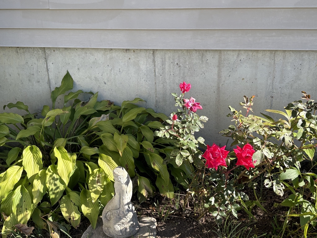 101 Russell Hill Road Ashburnham, MA 01430 - Photo 41 of 42 a flower view