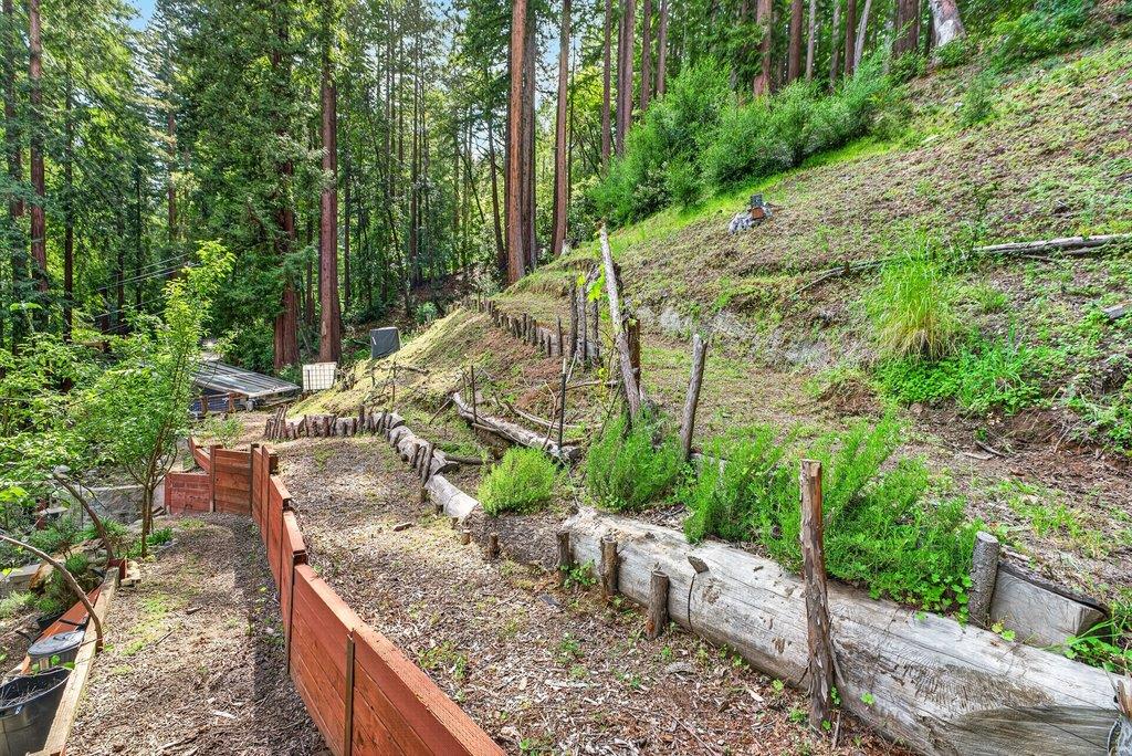 360 McGaffigan Mill Road Boulder Creek, CA 95006 - Photo 58 of 70