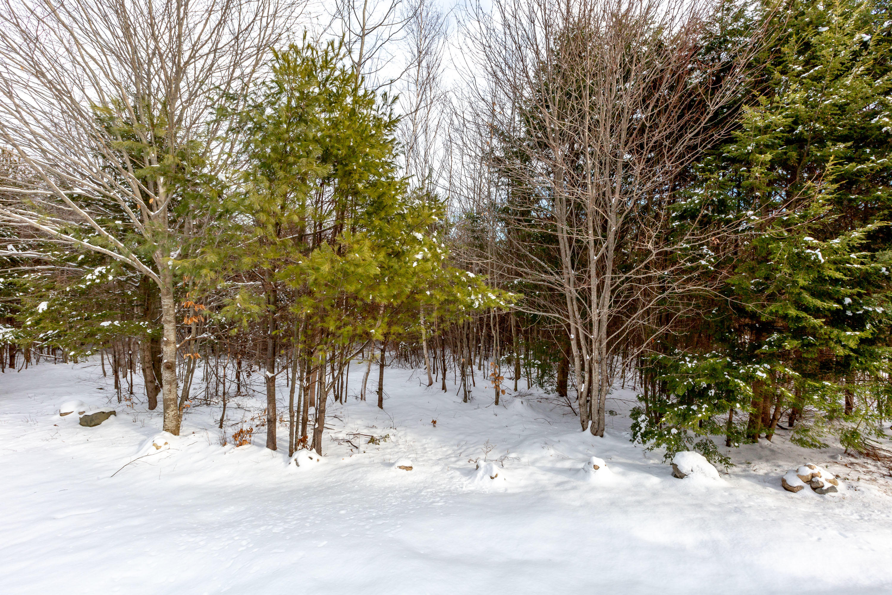 27 George Packard Road Bridgton, ME 04009 - Photo 51 of 84 George Packard_Rollie_51