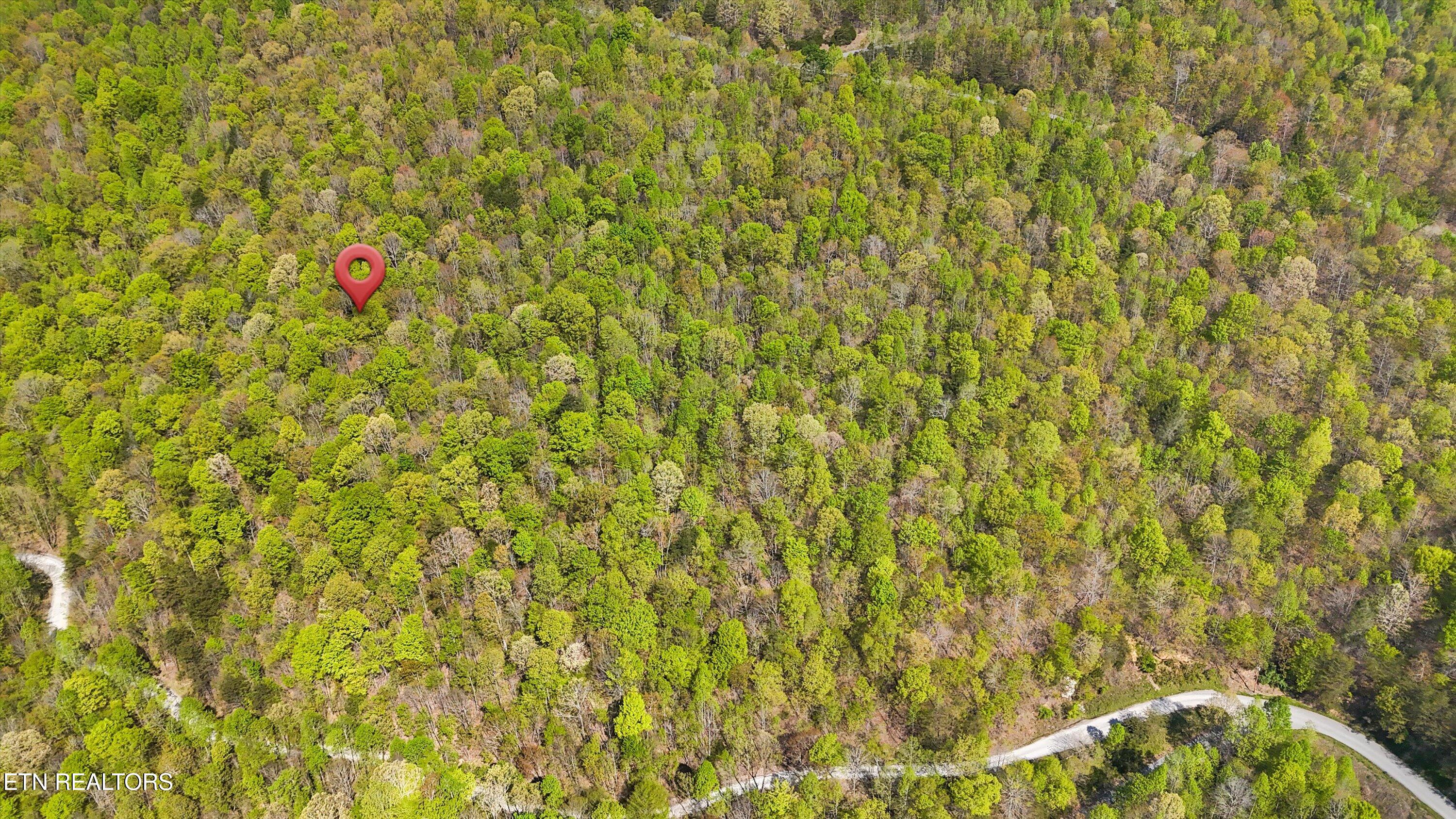 Lot 149 Whistle Valley Road New Tazewell, TN 37825 - Photo 13 of 14 05-1Whistle Valley Rd-09