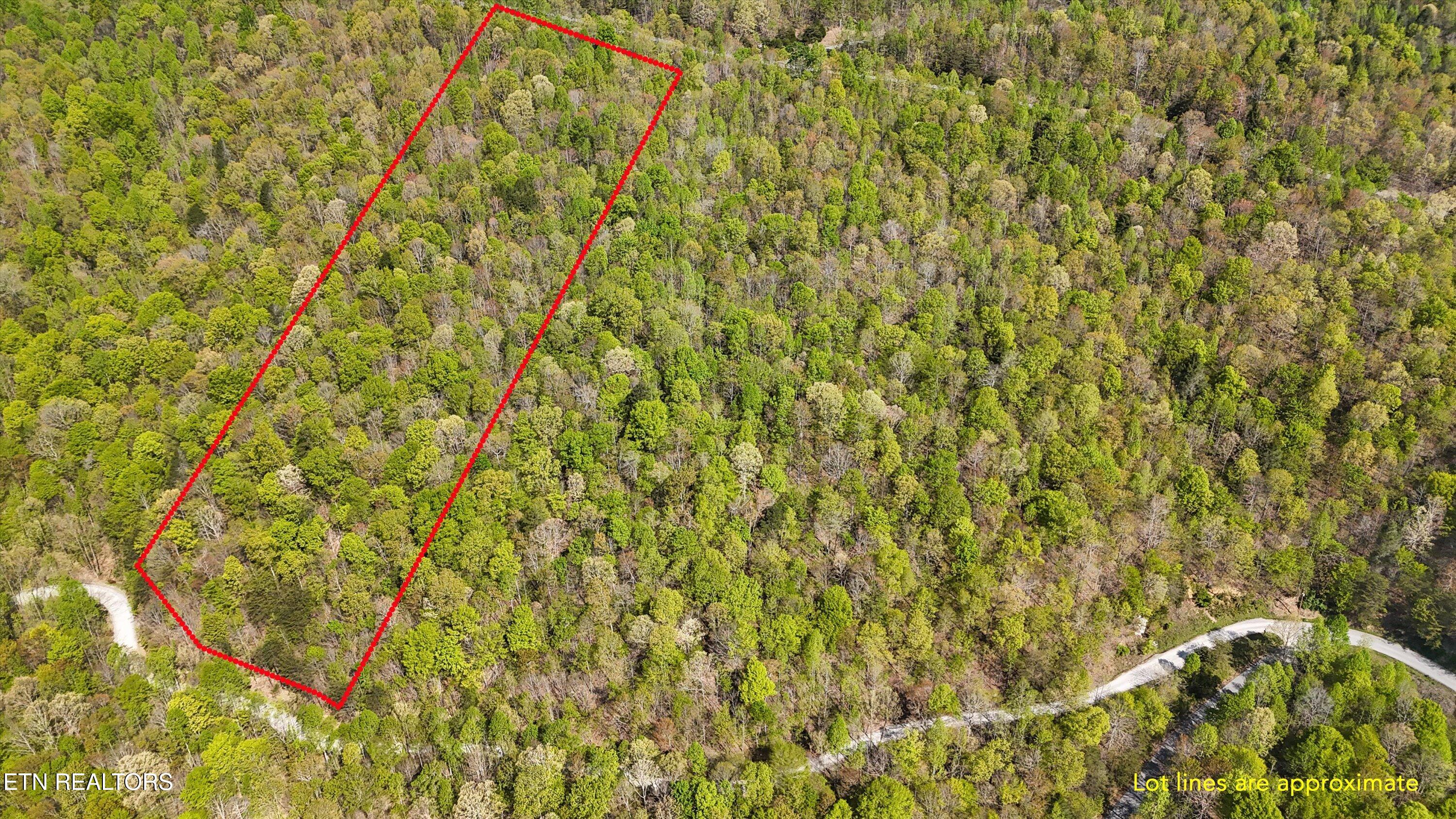 Lot 149 Whistle Valley Road New Tazewell, TN 37825 - Photo 5 of 14 03-1Whistle Valley Rd-04