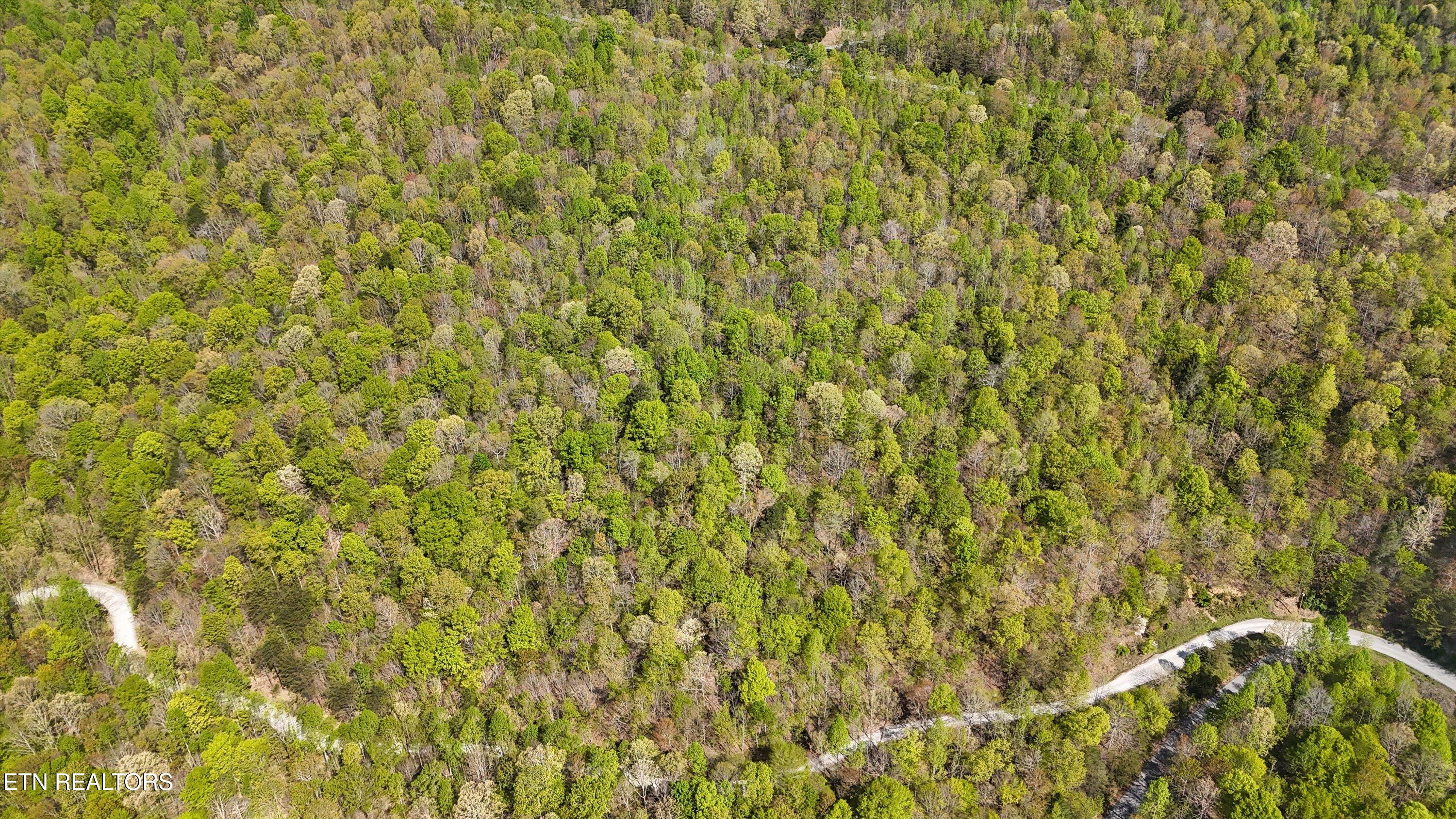 Lot 149 Whistle Valley Road New Tazewell, TN 37825 - Photo 6 of 14 04-1Whistle Valley Rd-04