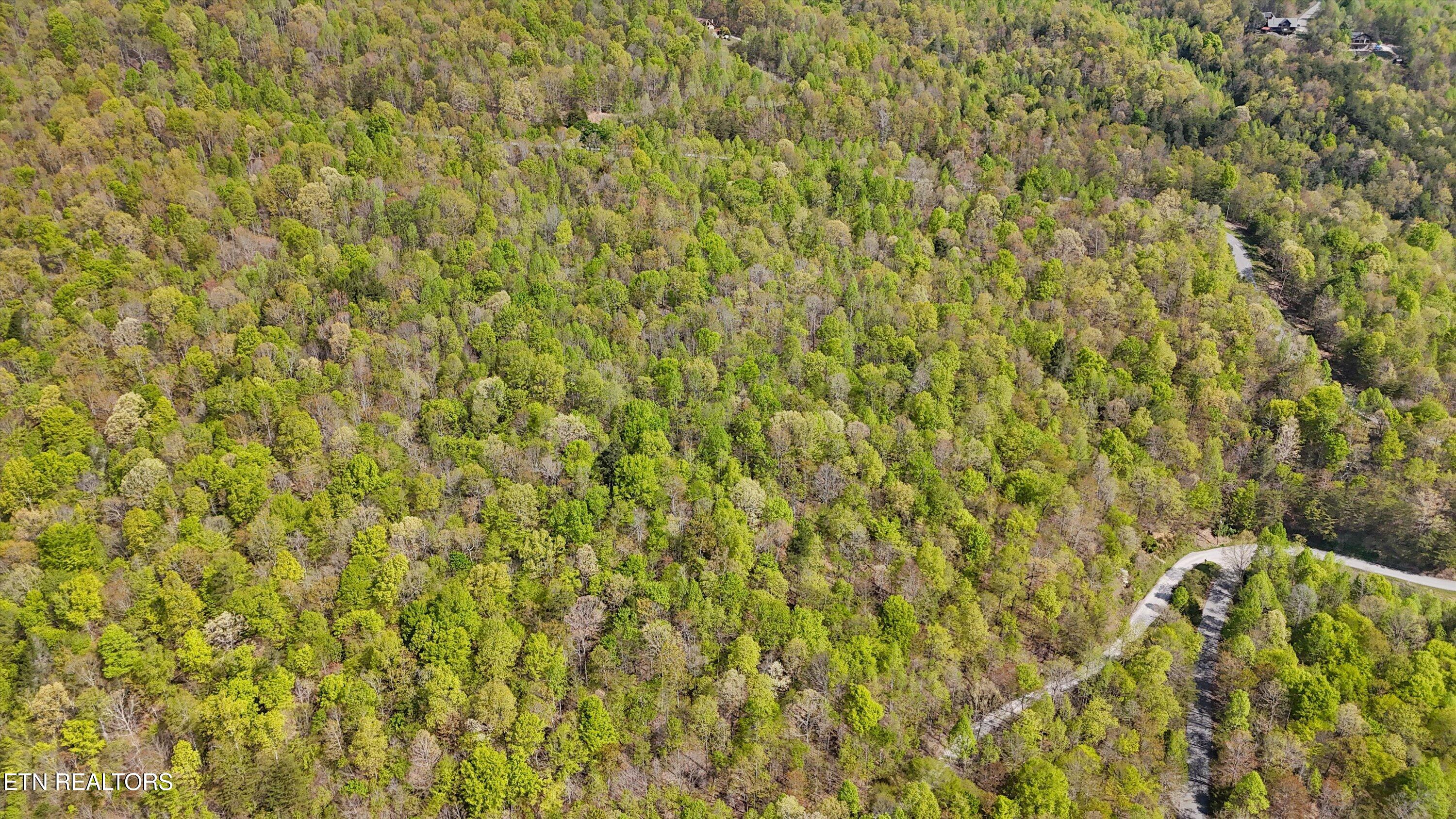 Lot 149 Whistle Valley Road New Tazewell, TN 37825 - Photo 7 of 14 06-1Whistle Valley Rd-06