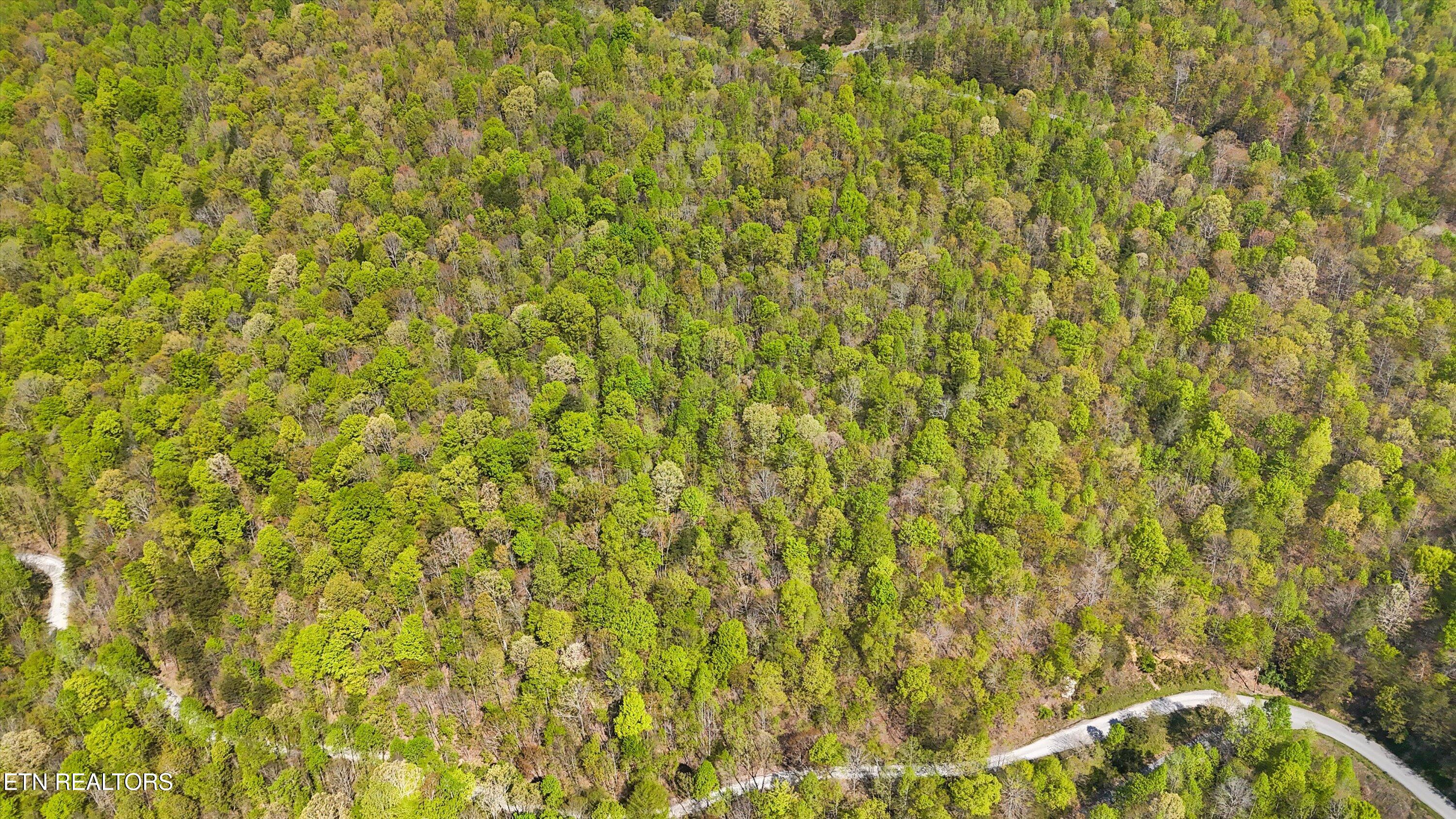 Lot 149 Whistle Valley Road New Tazewell, TN 37825 - Photo 10 of 14 09-1Whistle Valley Rd-09