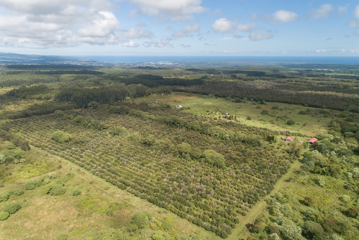 17-4775 N Road Keaau, HI 96749 - Photo 2 of 19 Gallery Image 2