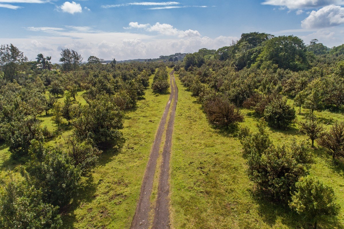 17-4775 N Road Keaau, HI 96749 - Photo 3 of 19 Gallery Image 3