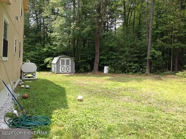 a view of a yard with plants and trees