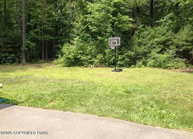 a view of a yard with a trees