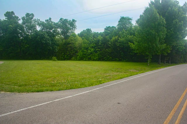 4793 Joe Peay Road Spring Hill, TN 37174 - Photo 2 of 22 Gallery Image 2