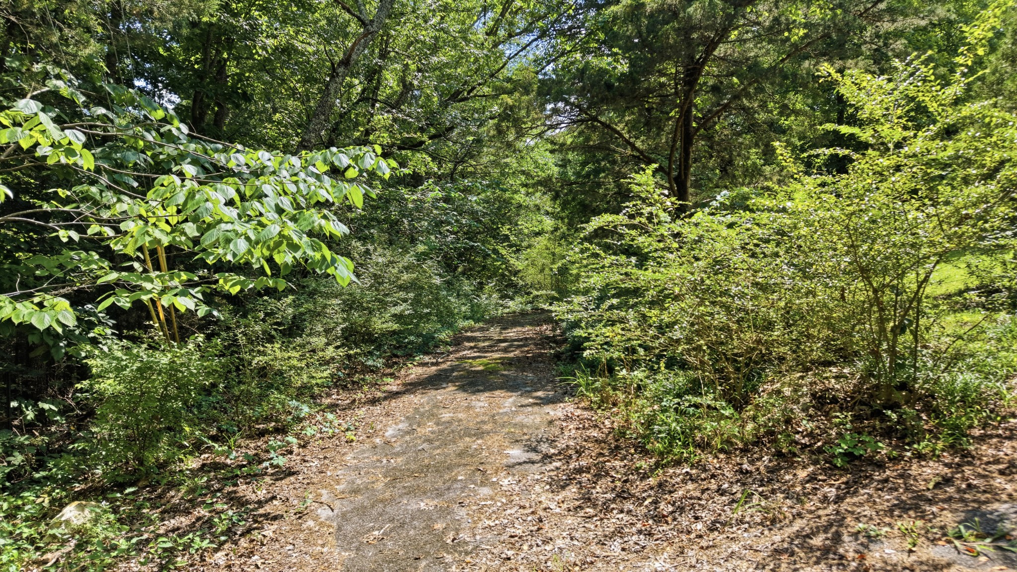 0 Green Shanty Road Ooltewah, TN 37363 - Photo 4 of 12