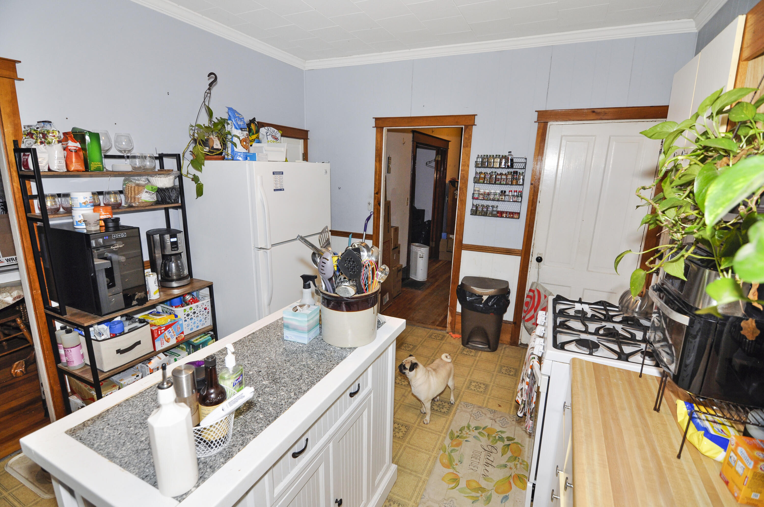 133 3rd Street Bangor, ME 04401 - Photo 8 of 26 _DSC9219