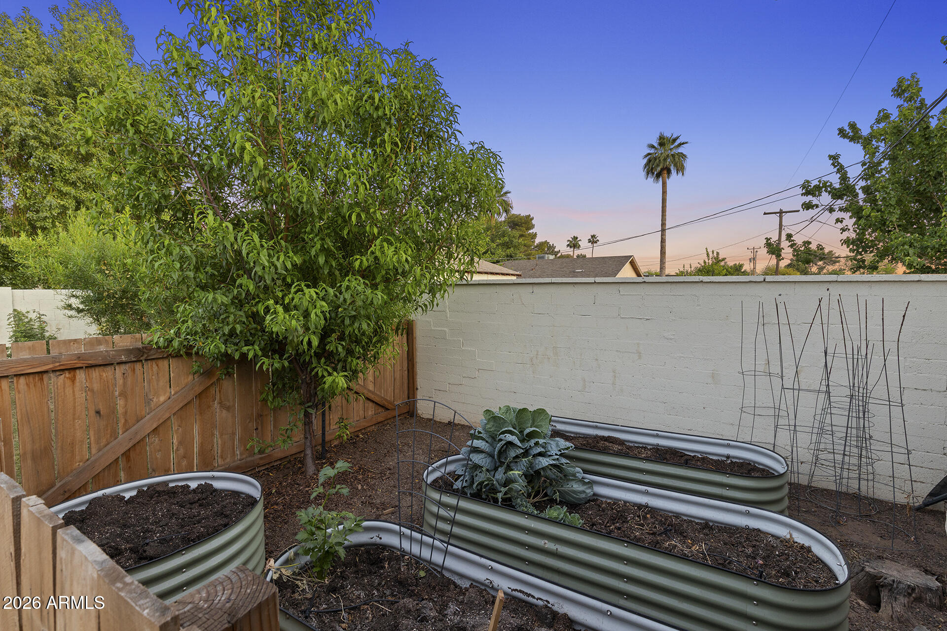 6804 North 11th Street Phoenix, AZ 85014 - Photo 32 of 32 Exterior Garden