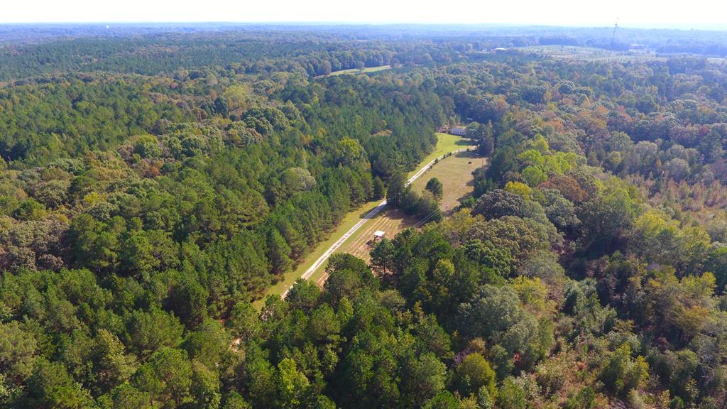 186 Freeley Road Donalds, SC 29638 - Photo 9 of 58