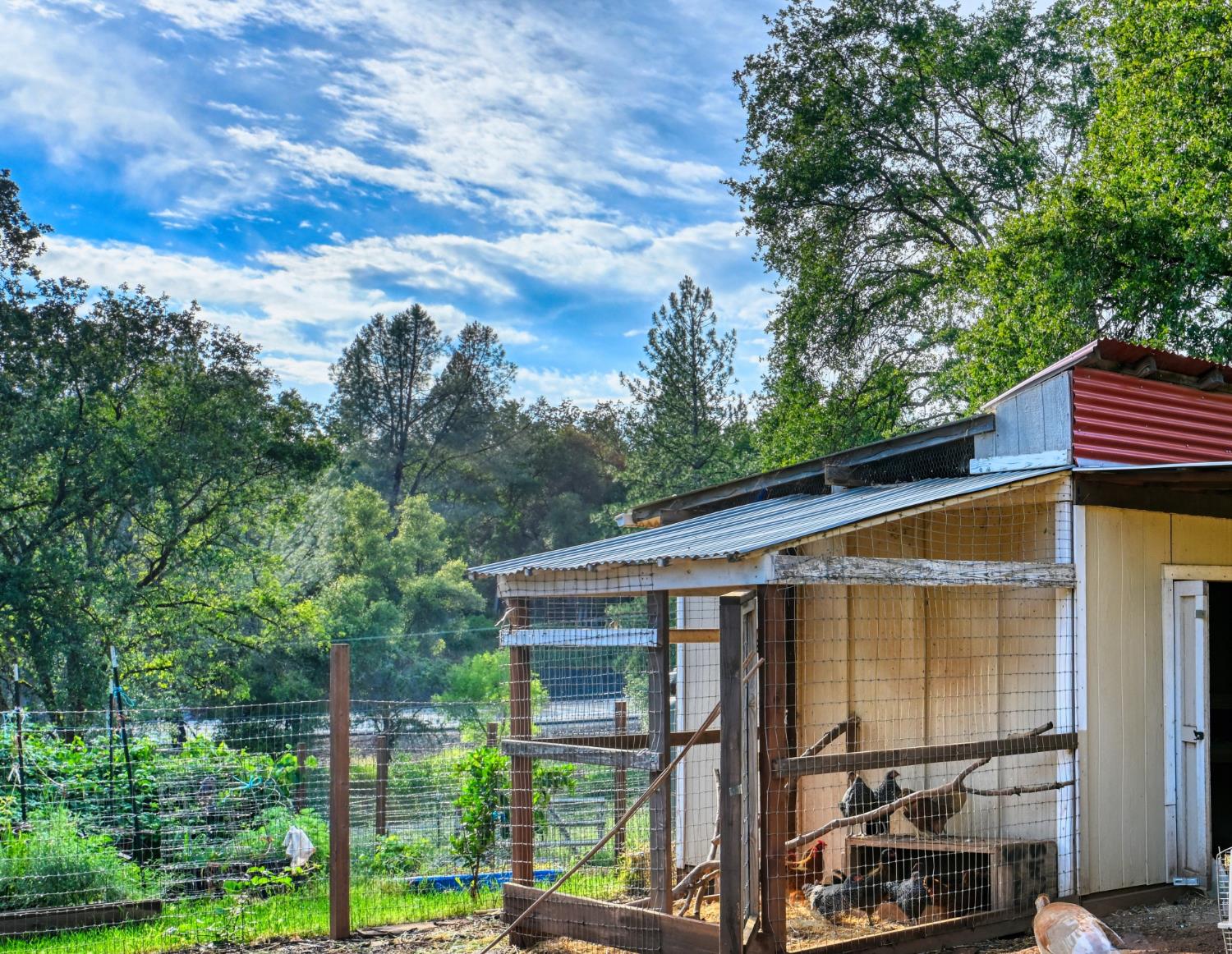 10016 East Lime Kiln Road Grass Valley, CA 95949 - Photo 14 of 32