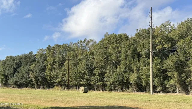 $30,000 | Tbd Myers Road, Estherwood, LA 70534