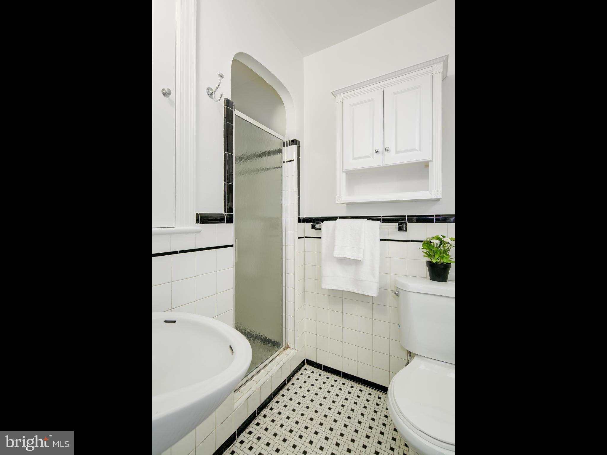 3822 W Street Northwest Washington, DC 20007 - Photo 19 of 30 Bath (Master)