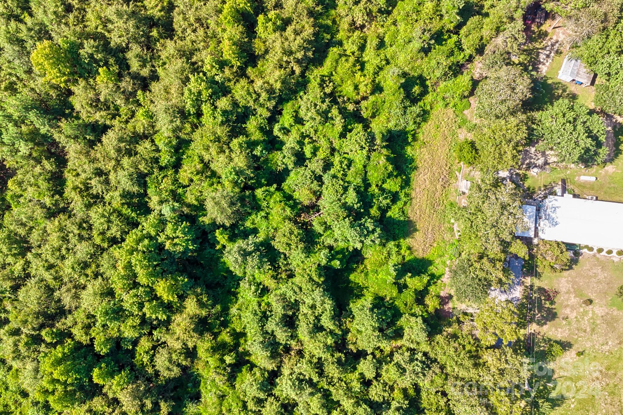 3141 Timrod Road Bethune, SC 29009 - Photo 5 of 13 Gallery Image 5