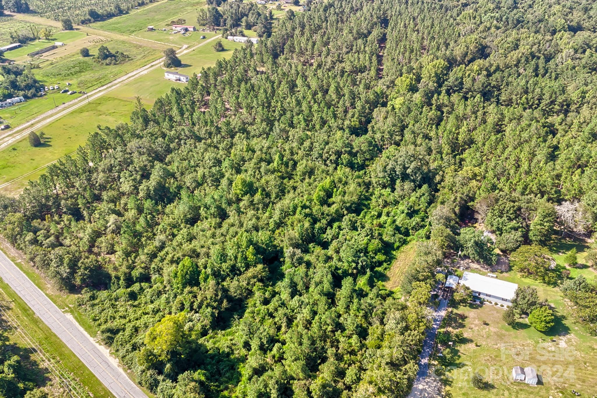 3141 Timrod Road Bethune, SC 29009 - Photo 8 of 13 Gallery Image 8