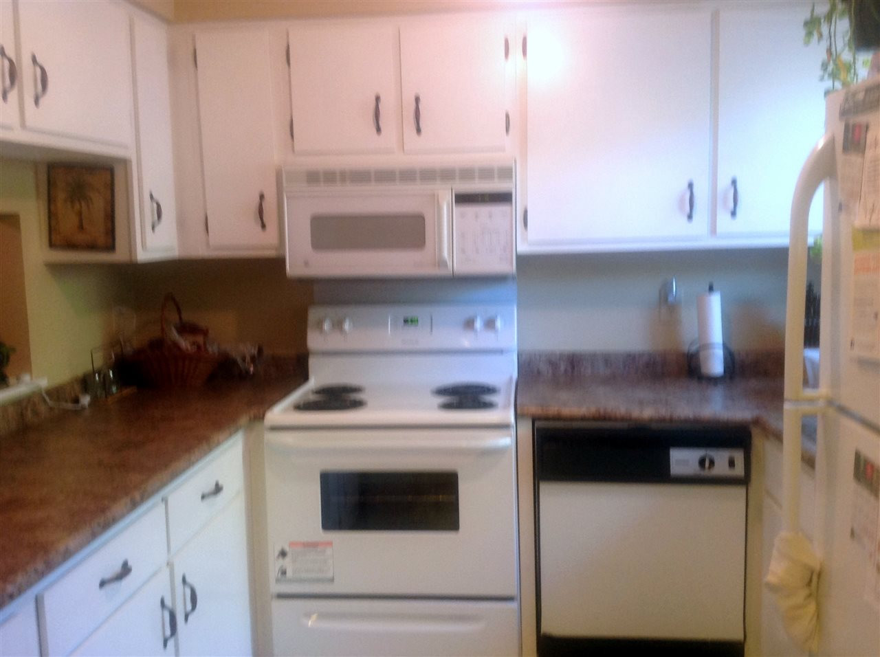 4238 Lake Ridge Drive, Unit 11C Raleigh, NC 27604 - Photo 2 of 12 Kitchen