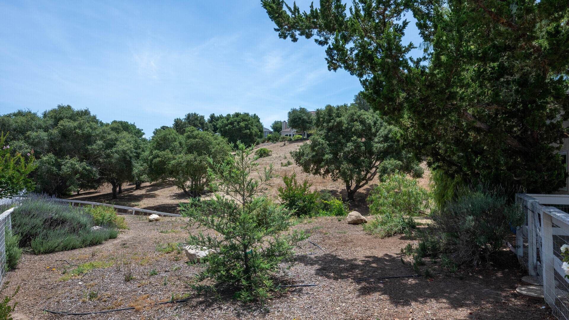 1940 Viborg Road Solvang, CA 93463 - Photo 21 of 30 1940-viborg-road-solvang-ca-34