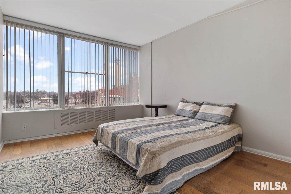 718 South 7th Street, Unit 504 Springfield, IL 62703 - Photo 30 of 42