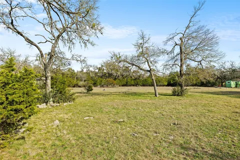 a view of a yard with plants and trees