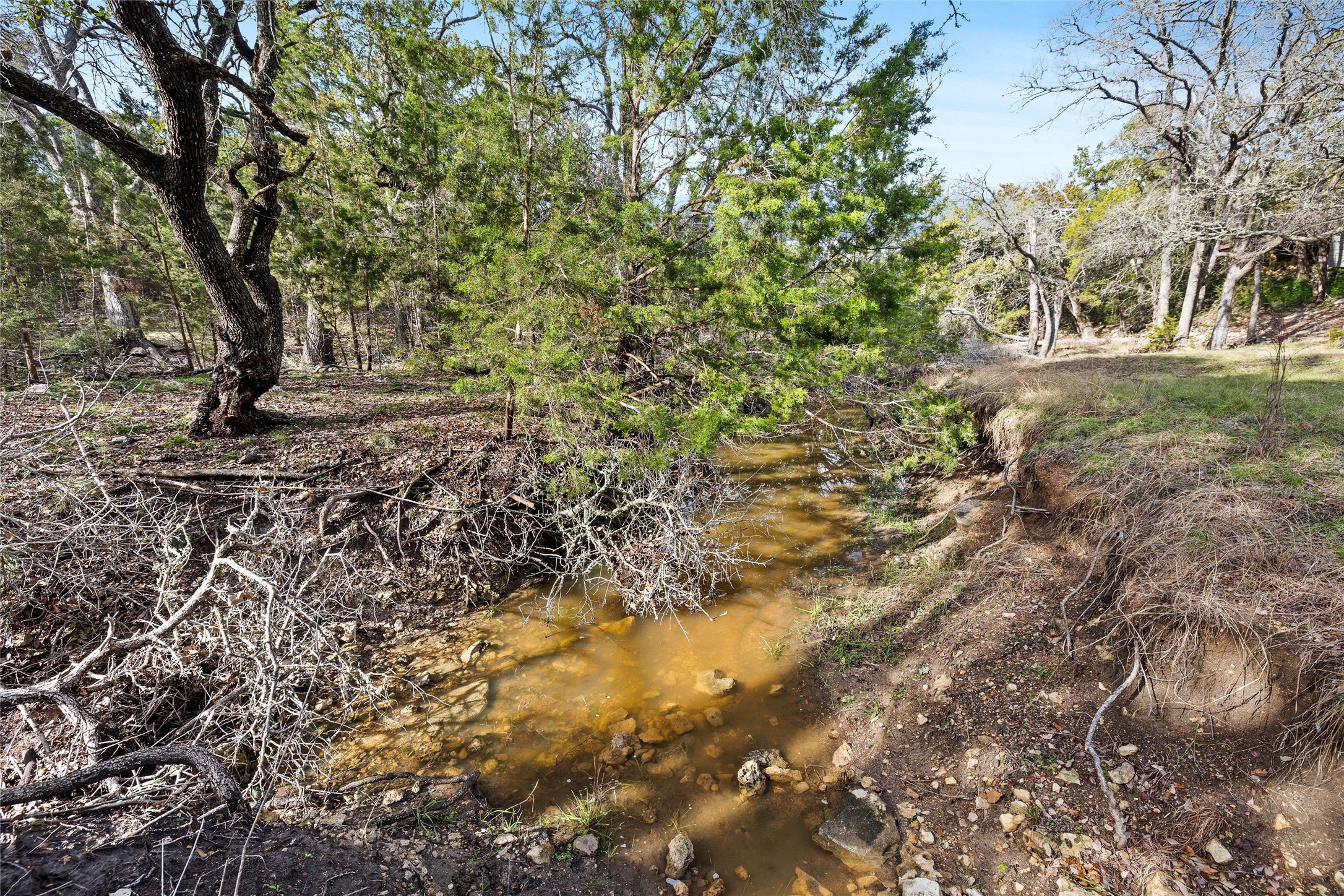 262 Beauchamp Road Dripping Springs, TX 78620 - Photo 6 of 10 a view of outdoor space with deck and trees