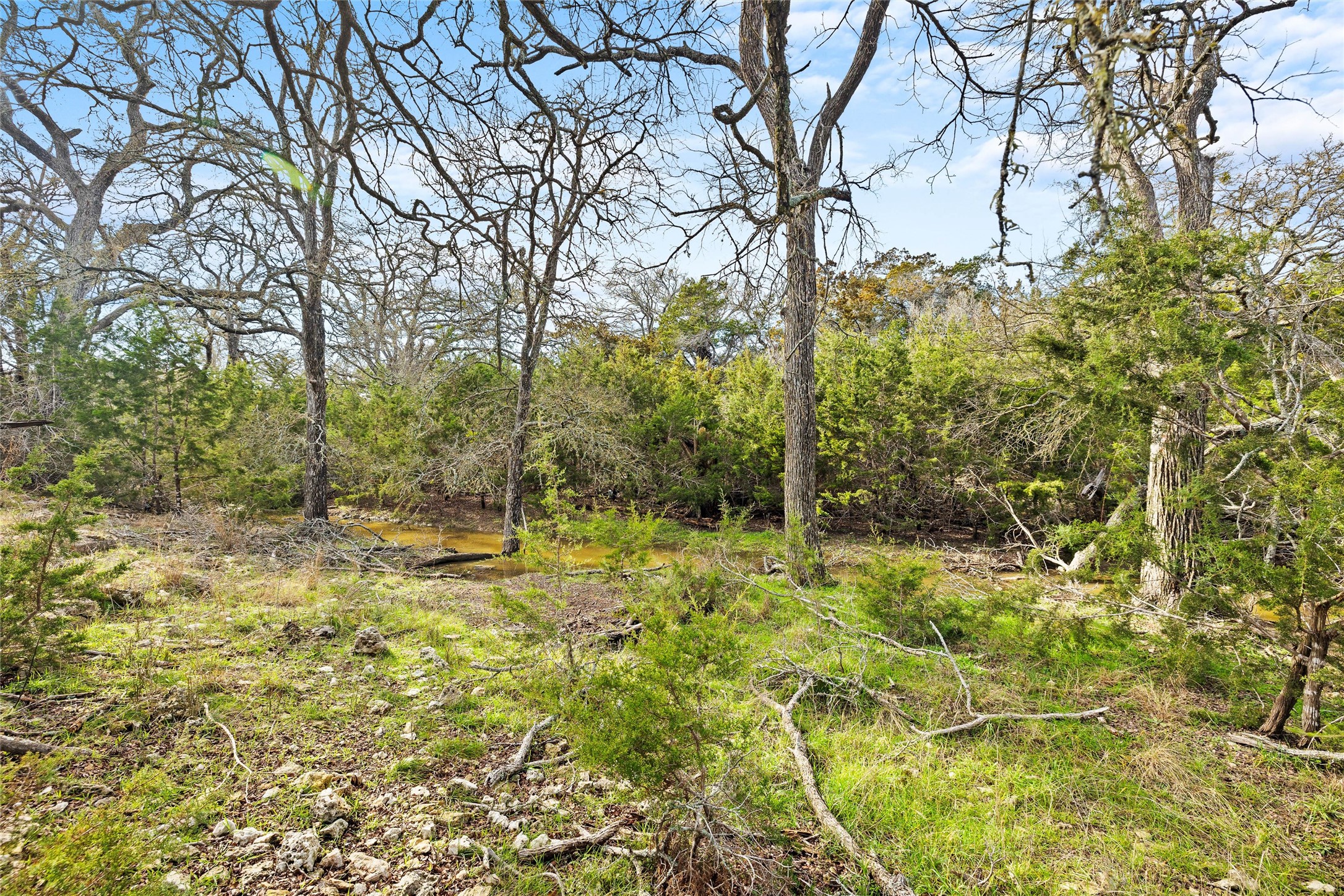 262 Beauchamp Road Dripping Springs, TX 78620 - Photo 7 of 10 a view of a yard with plants and trees