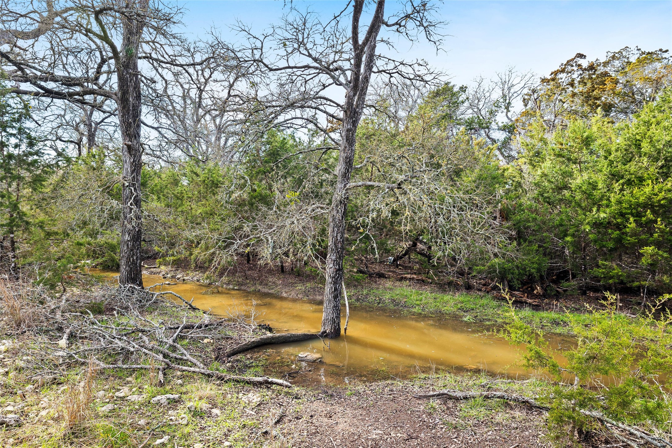 262 Beauchamp Road Dripping Springs, TX 78620 - Photo 8 of 10 a view of a backyard with swimming pool