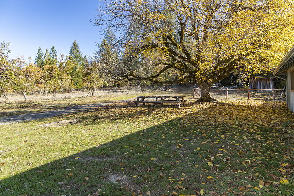 1263 Waldo Road Cave Junction, OR 97523 - Photo 71 of 82 53
