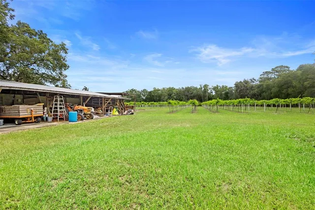 a view of a yard with a slide