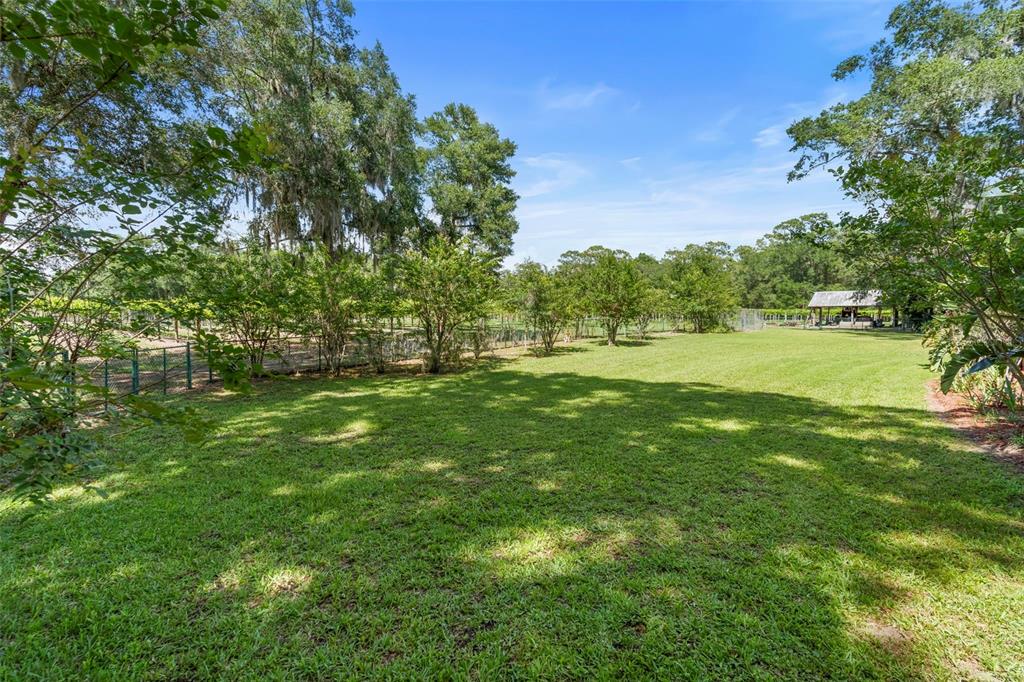 1056 Reynolds Road De Leon Springs, FL 32130 - Photo 49 of 74 a view of outdoor space with green field and trees all around