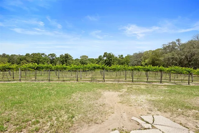 $1,300,000 | 1056 Reynolds Road, De Leon Springs, FL 32130