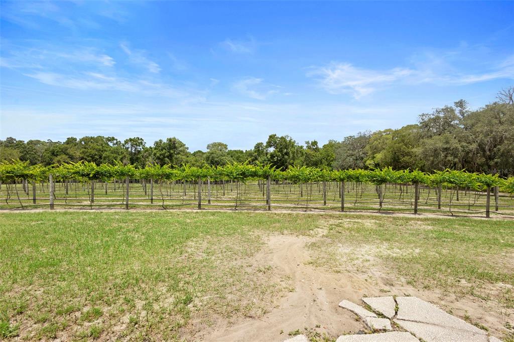 1056 Reynolds Road De Leon Springs, FL 32130 - Photo 51 of 74 a view of a golf course with a lake