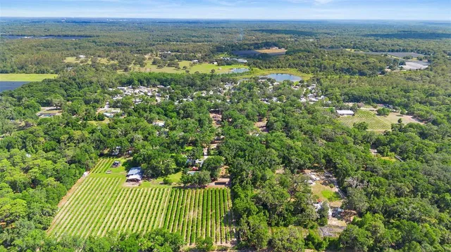 $1,300,000 | 1056 Reynolds Road, De Leon Springs, FL 32130