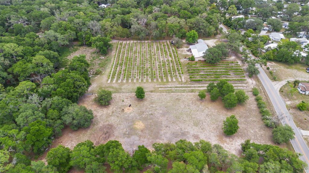 1056 Reynolds Road De Leon Springs, FL 32130 - Photo 59 of 74 a view of yard with green space