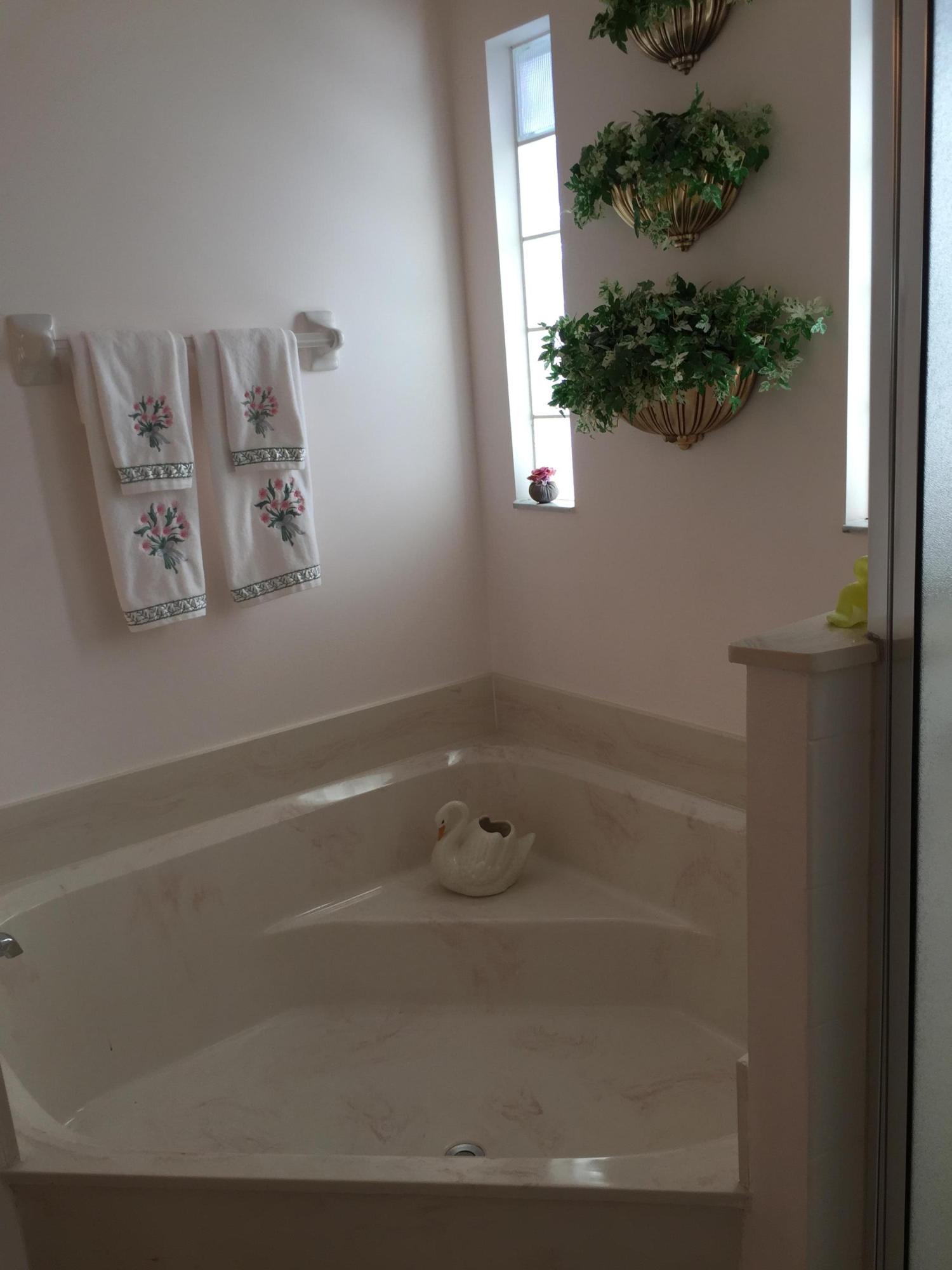 168 Cove Road Greenacres, FL 33413 - Photo 19 of 29 Master Bath