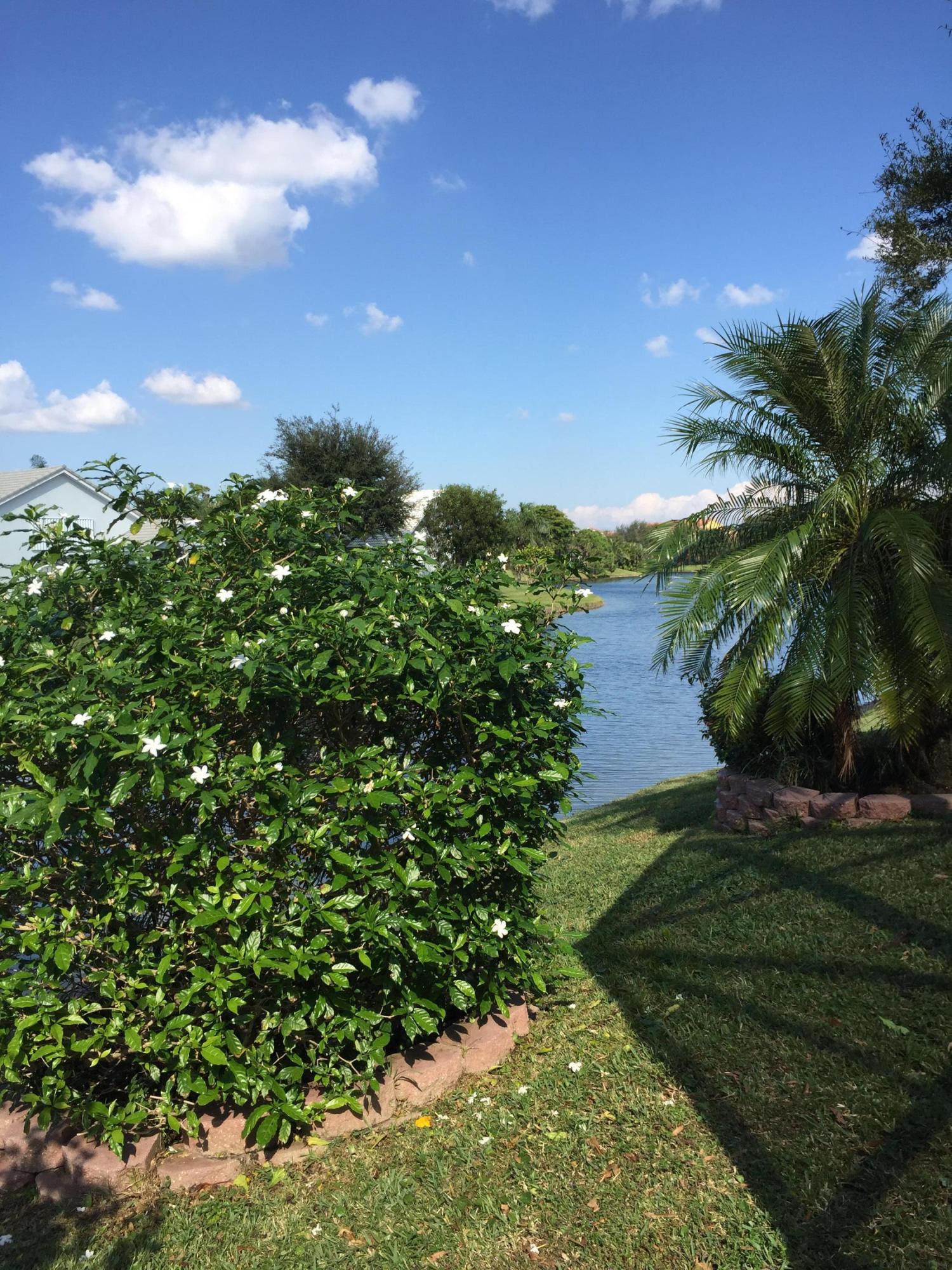 168 Cove Road Greenacres, FL 33413 - Photo 27 of 29 Lush Landscaping
