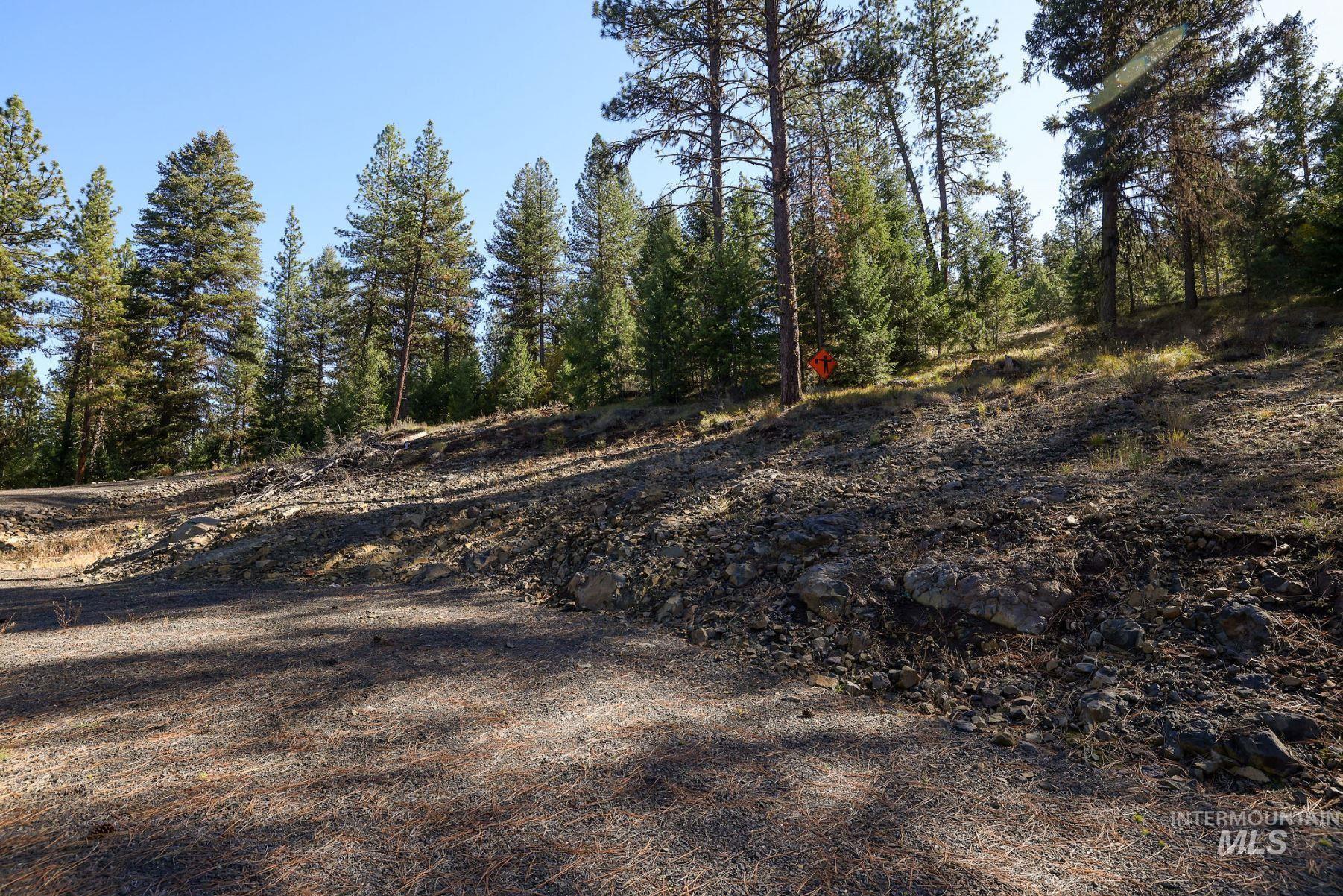 Lot 22 Rim Road New Meadows, ID 83654 - Photo 17 of 49