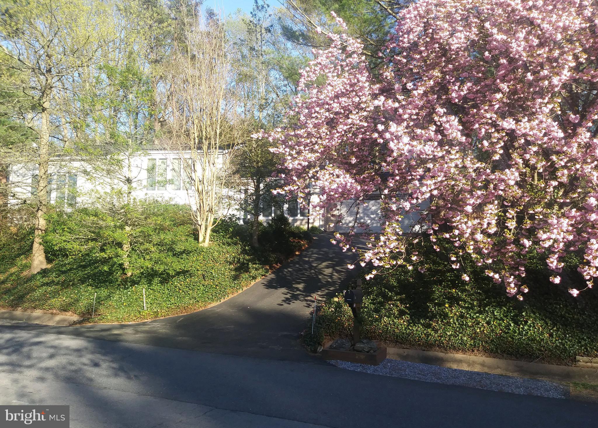 10929 Howland Drive Reston, VA 20191 - Photo 7 of 72