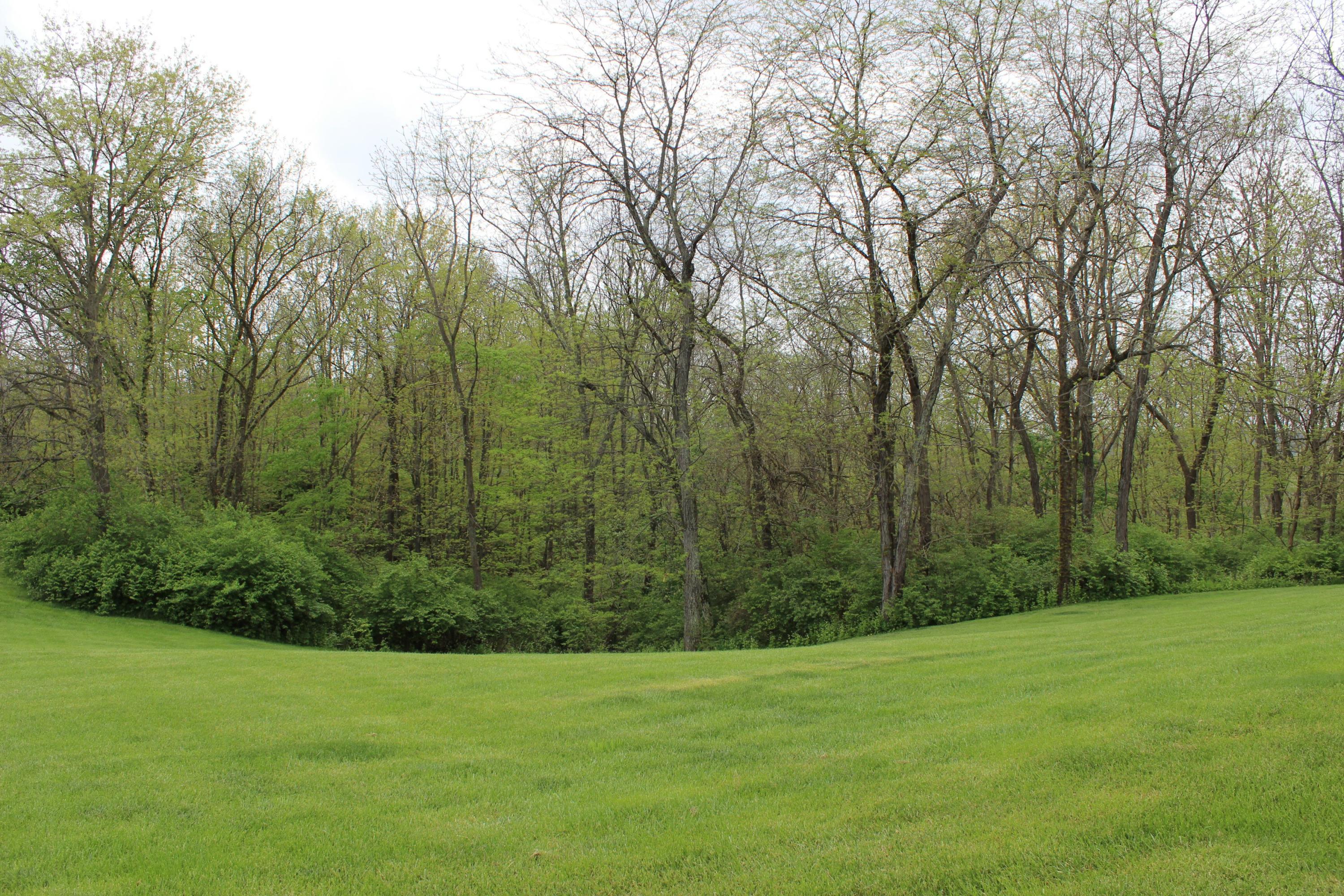 11189 Thrailkill Road Orient, OH 43146 - Photo 47 of 56