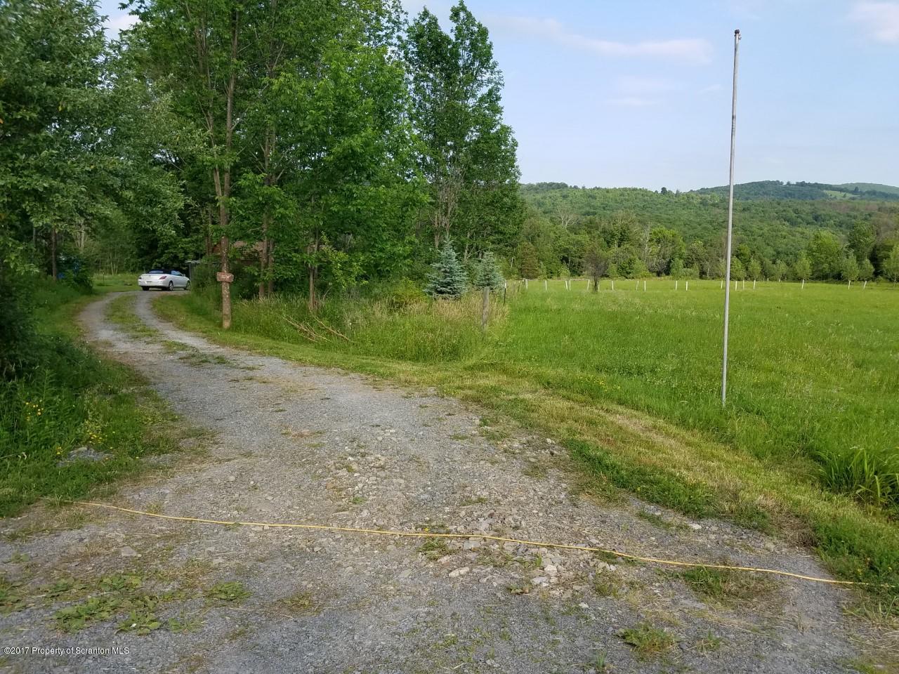 686 State Rte 4002 Laceyville, PA 18623 - Photo 12 of 12 driveway