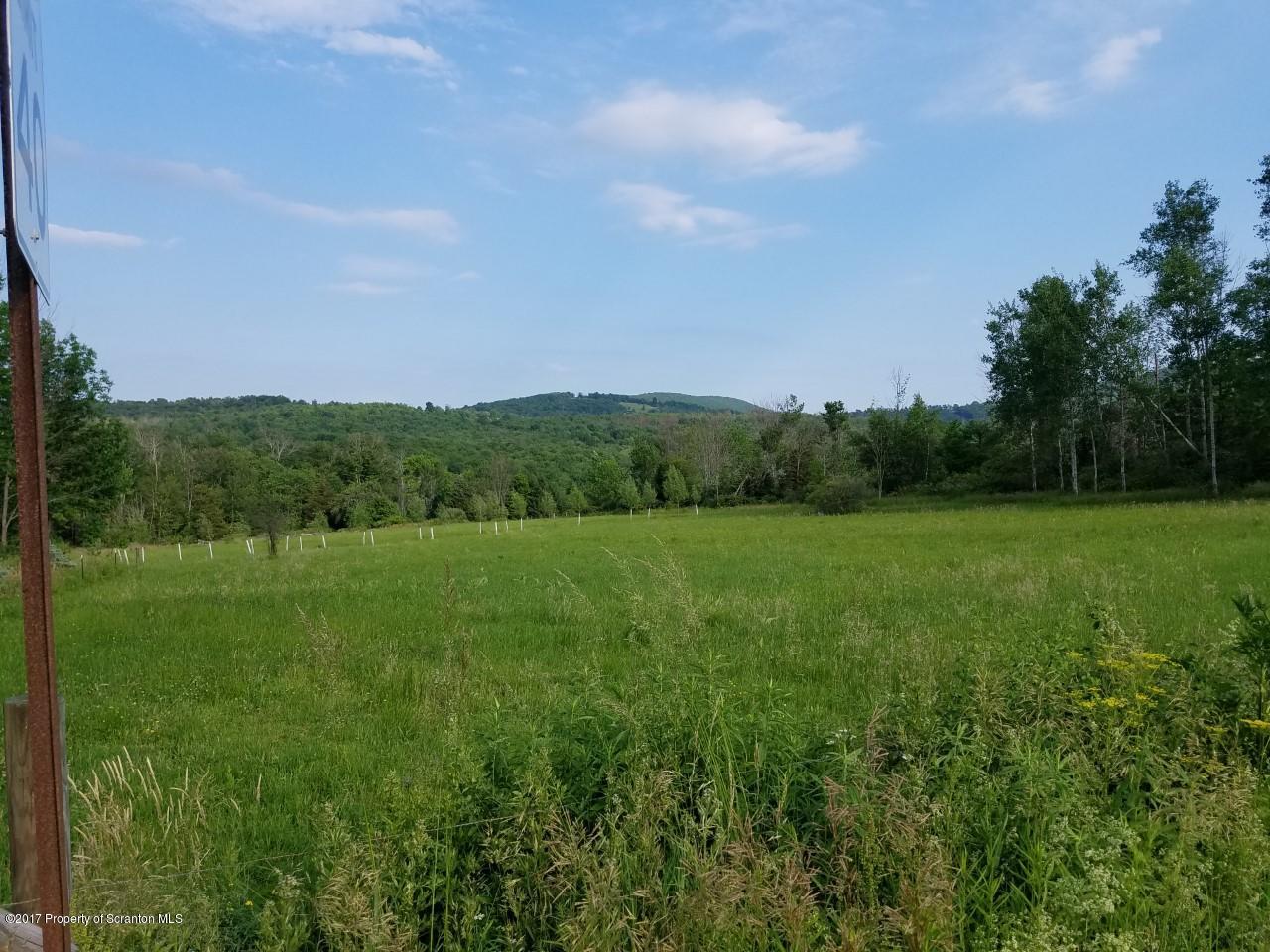686 State Rte 4002 Laceyville, PA 18623 - Photo 2 of 12 pasture